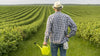 Integrating Digital Soil Moisture Sensors into Precision Agriculture for Improved Water Use Efficiency