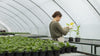Soil Microclimate Under Control: Increasing Greenhouse Yields