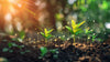 Using Moisture Data to Optimize Fertilizer Application