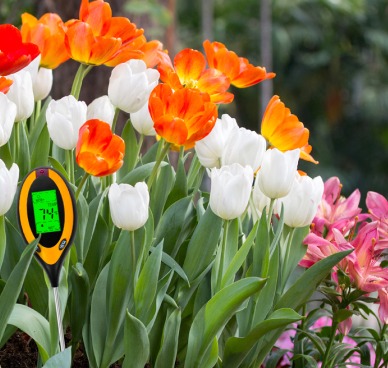 Flower Beds & Landscaping