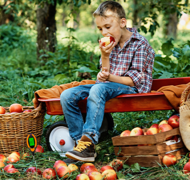 Fruit Trees & Vineyards