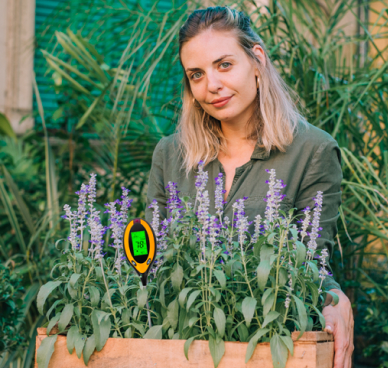 Vegetable & Herb Gardens