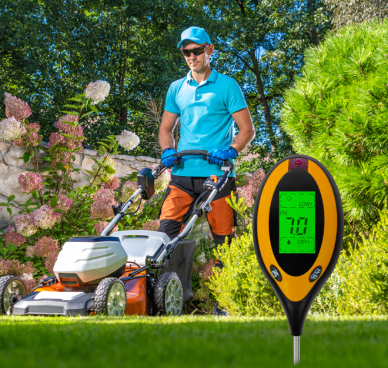 Lawn Care & Grass Growth